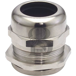 SS Cable Gland